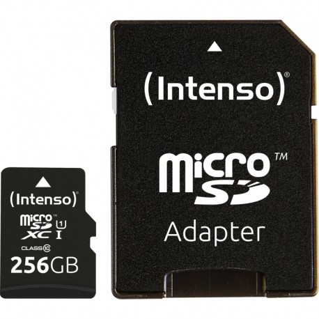 Tarjeta MicroSD de 256GB
